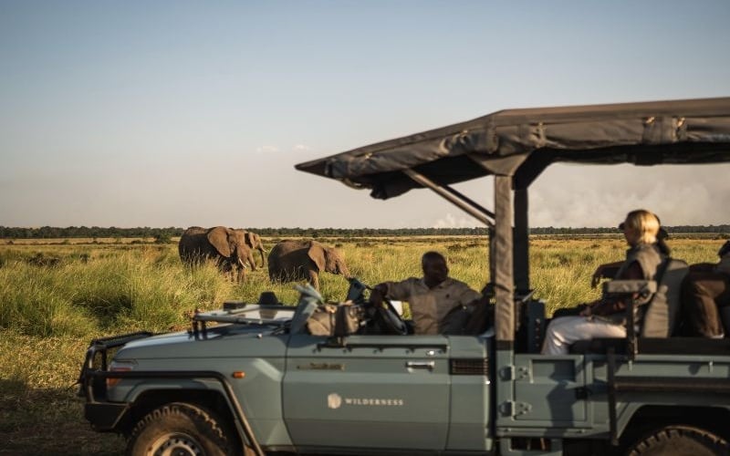 Wilderness Mara