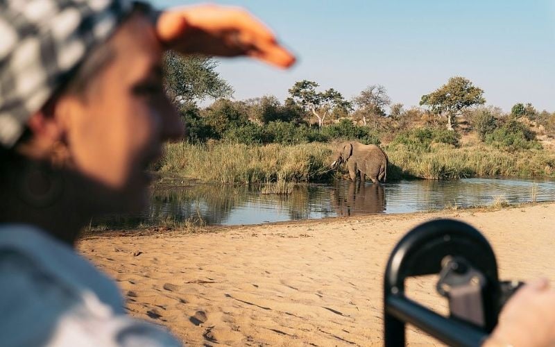 Simbavati River Lodge