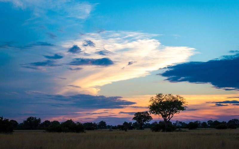 Vumbura Plains
