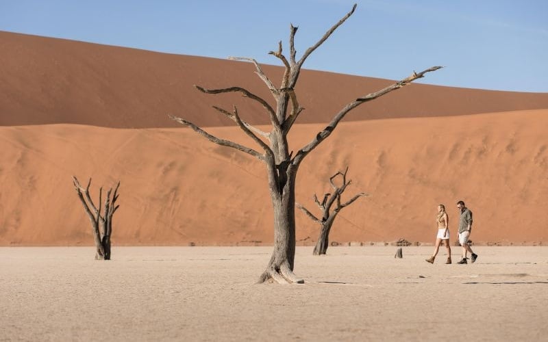 Wilderness Kulula Desert