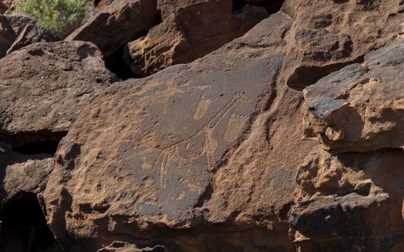 Damaraland