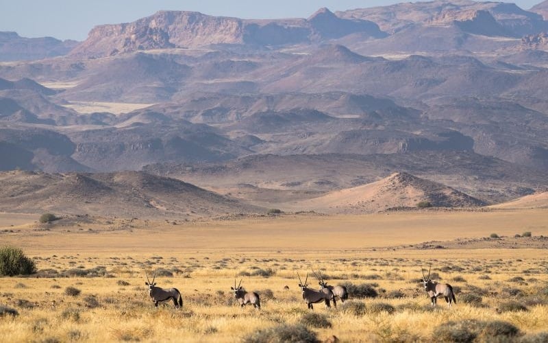 Damaraland