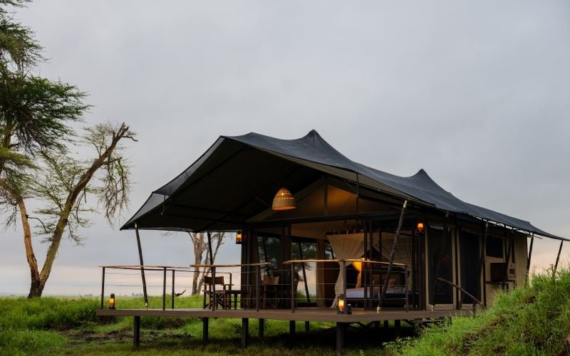 Soroi Amboseli