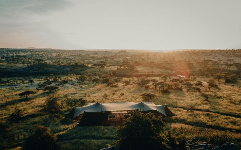 Wilderness Usawa Serengeti