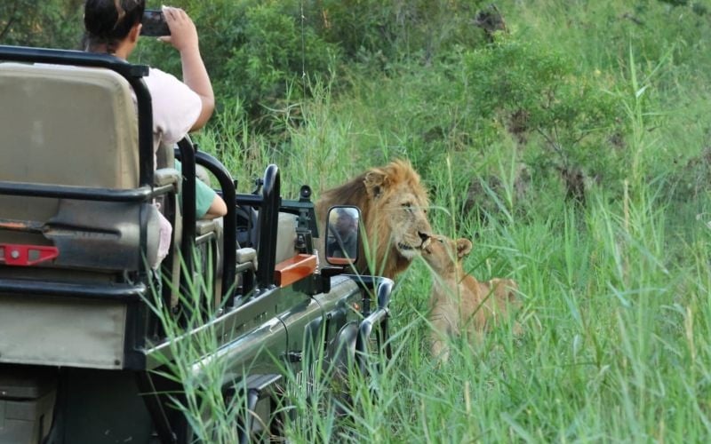 Simbavati River Lodge