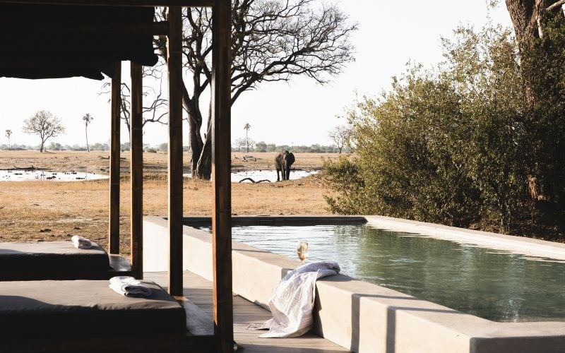 Wilderness Linkwasha