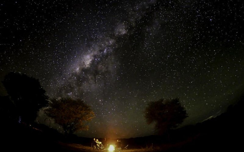 Wilderness Usawa Serengeti
