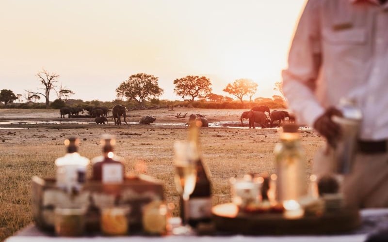 Wilderness Linkwasha