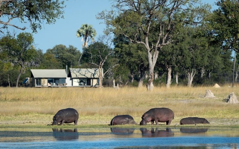Wilderness Linkwasha