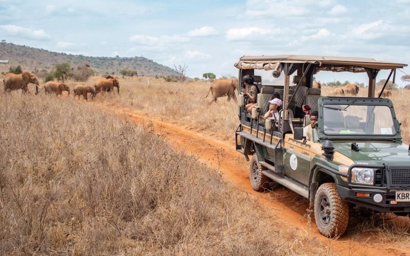 Soroi Cheetah Tented Camp