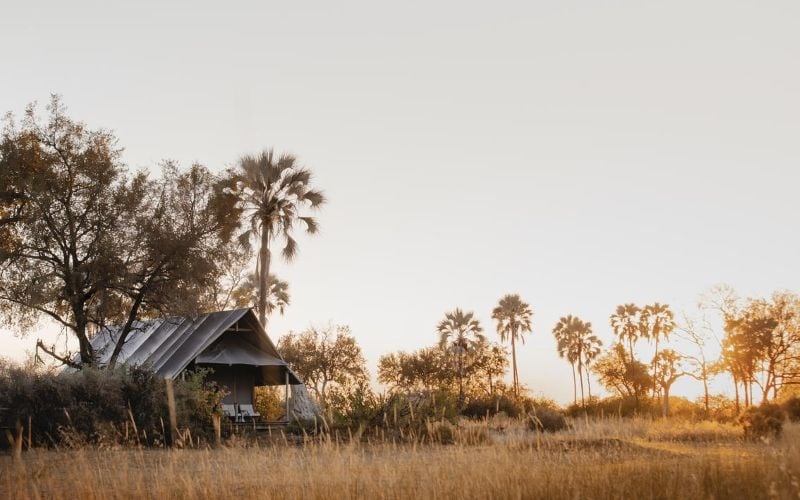 Wilderness Chitabe Lediba