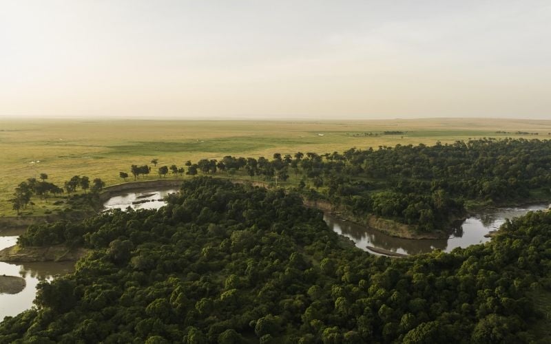 Wilderness Mara