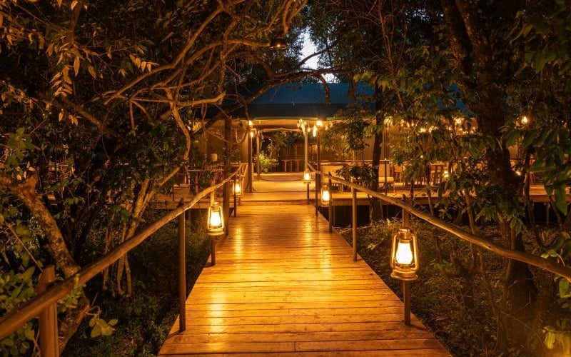 Soroi Luxury Migration Camp