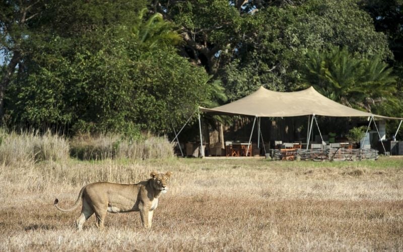 Busanga Bush Camp