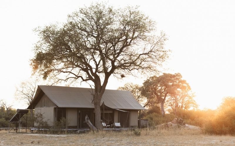 Wilderness Linkwasha