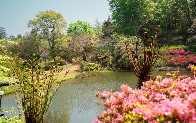 AfriCamps-Magoebaskloof-Dam