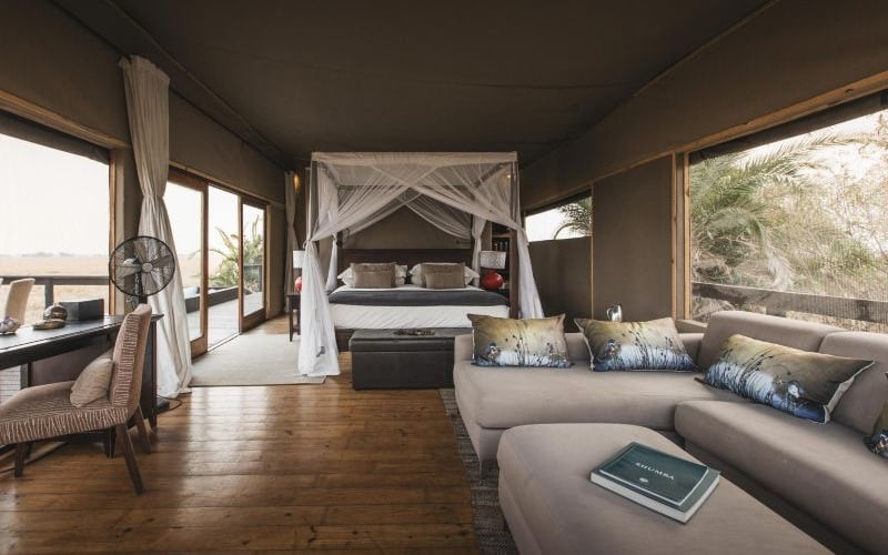 Wilderness Shumba