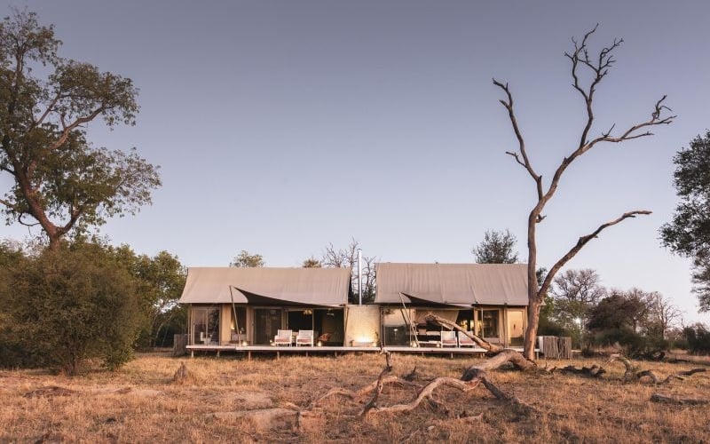Wilderness Linkwasha