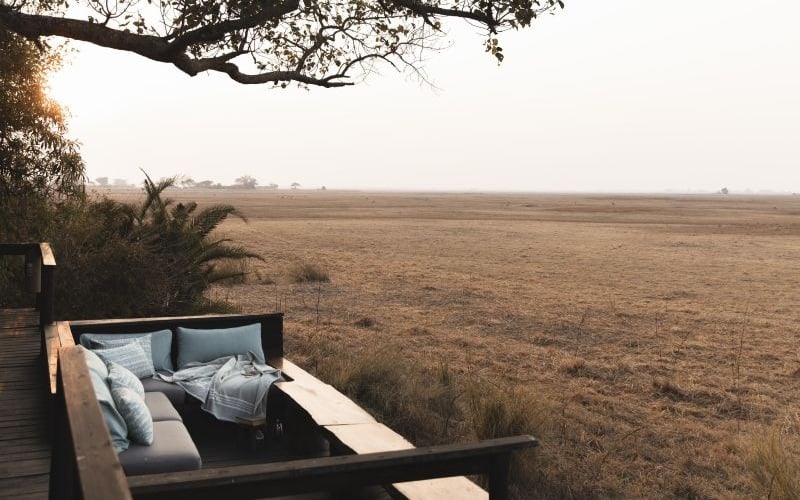 Wilderness Shumba
