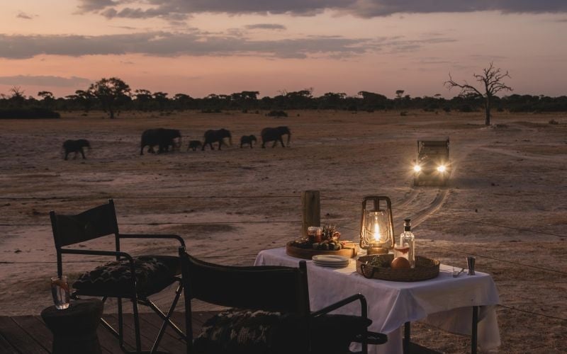 Wilderness Linkwasha