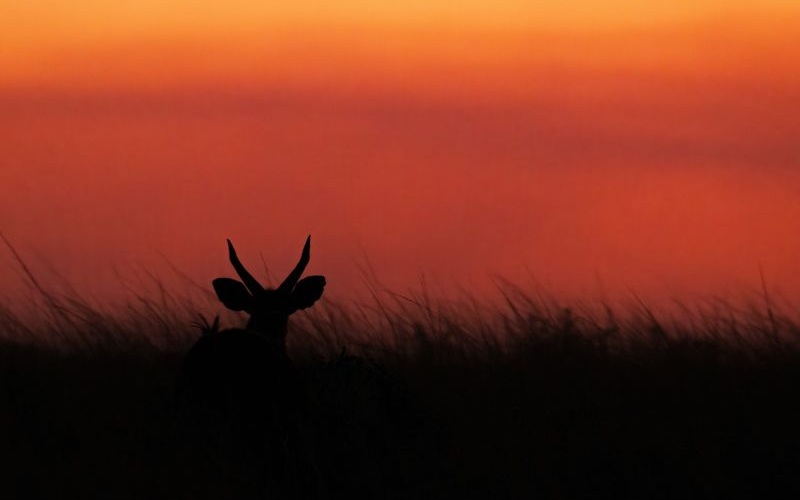 AfriCamps-Bonamanzi-Sunset