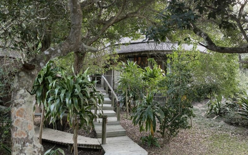 Thonga Beach Lodge 4