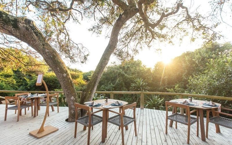 Thonga Beach Lodge 15