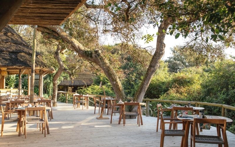Thonga Beach Lodge 16