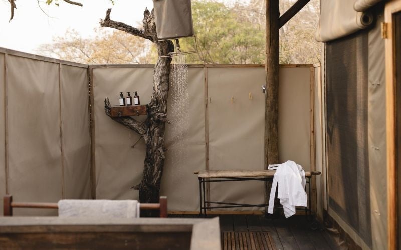 Wilderness Shumba