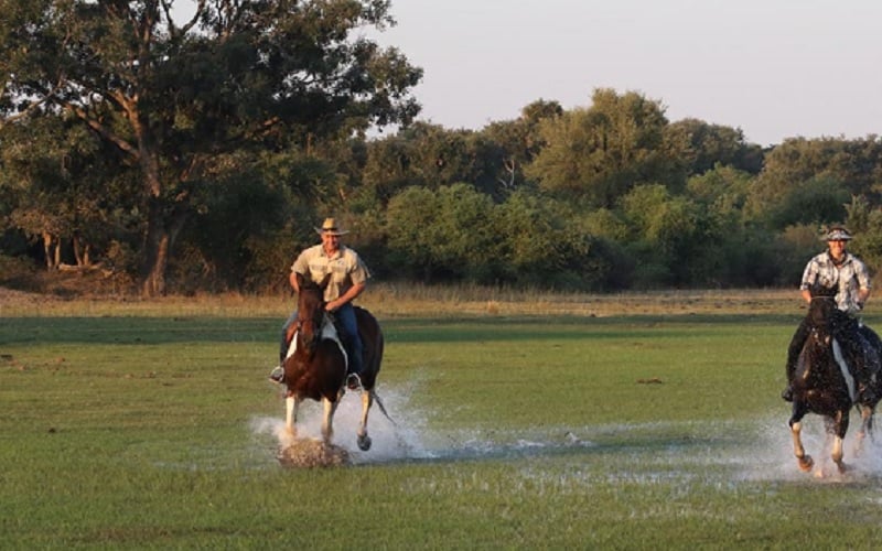 6 Day Okavango Delta Horseback Safari in Botswana