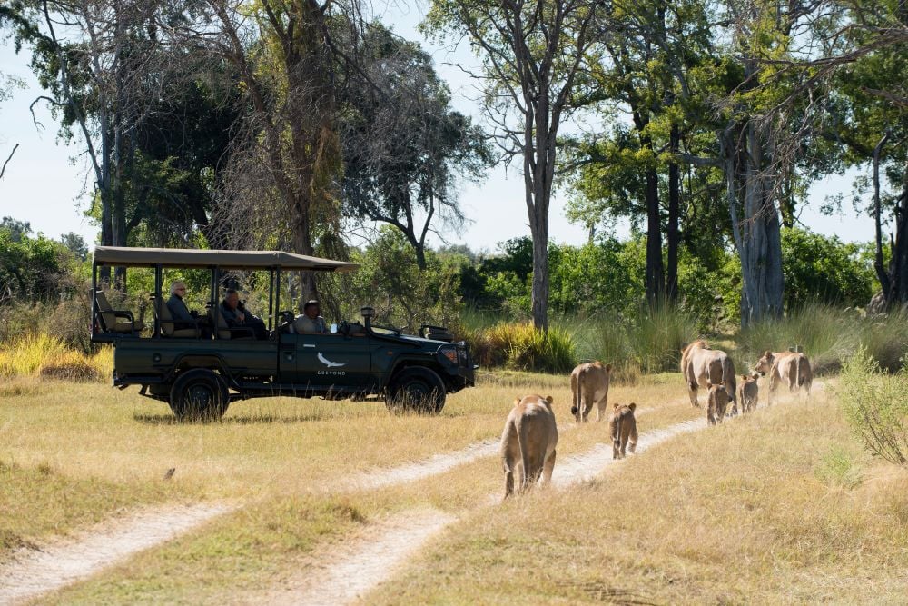 Cape Town and Safari Package (Fly me at a Fixed Price)