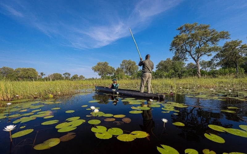 Mokoro Safari in the Okavango Delta