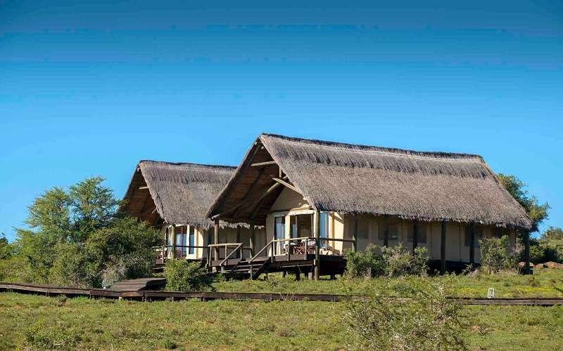 Gorah Elephant Camp