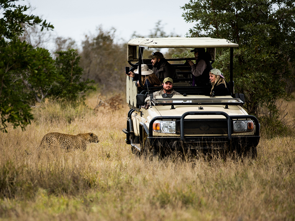 Hamiltons Tented Camp 3 night Fly in Package