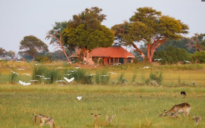 Kanana Camp
