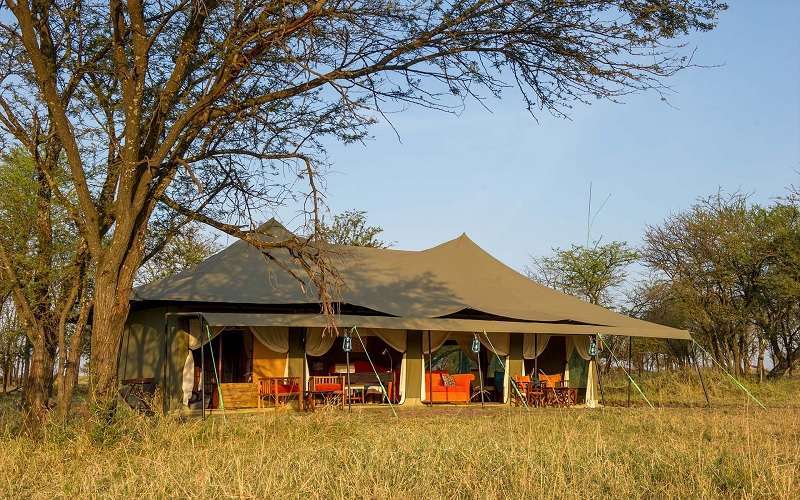 Kaskaz Mara Camp