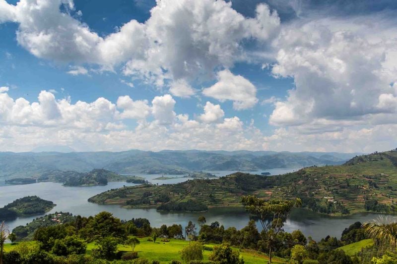 Highlights of Uganda - 11 Days