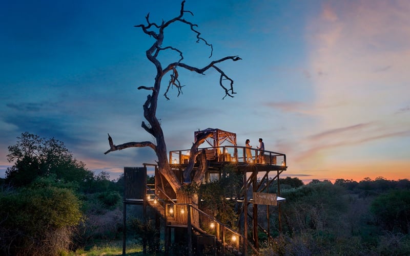 Star Bed Lion Sands Game Reserve