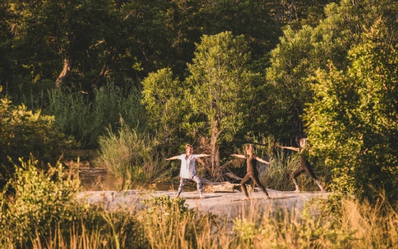 Bringing Wildness Back to Wellness, Londolozi Healing House