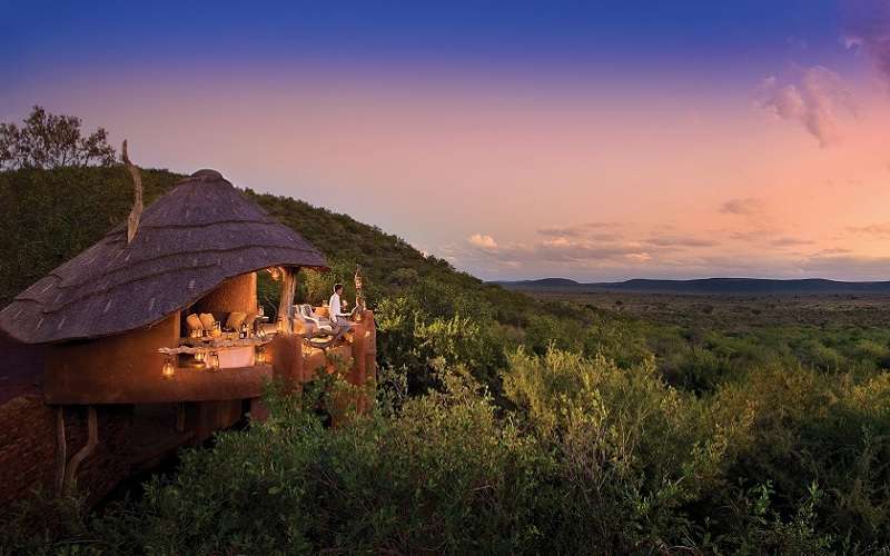 Madikwe Safari Lodge