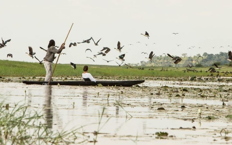 Muchenje 15