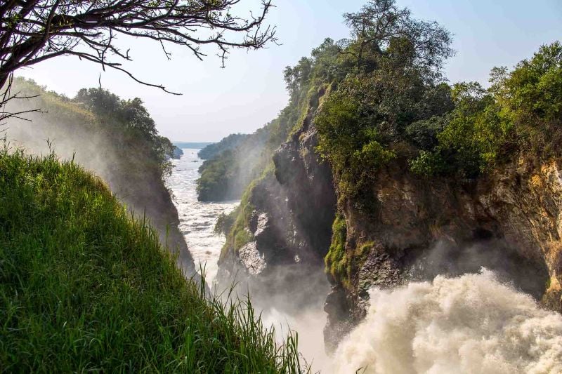 Highlights of Uganda - 11 Days