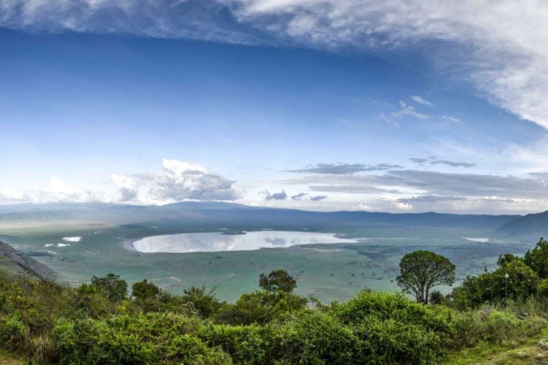 Tanzania Wildlife Breakaway - 7 Days