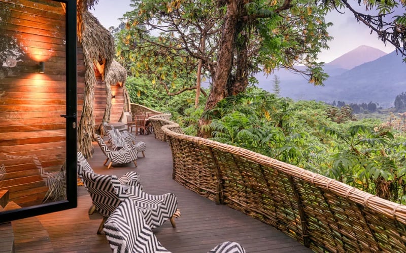 7 Day Gorillas and Savannah Wilderness Safari Ruanda