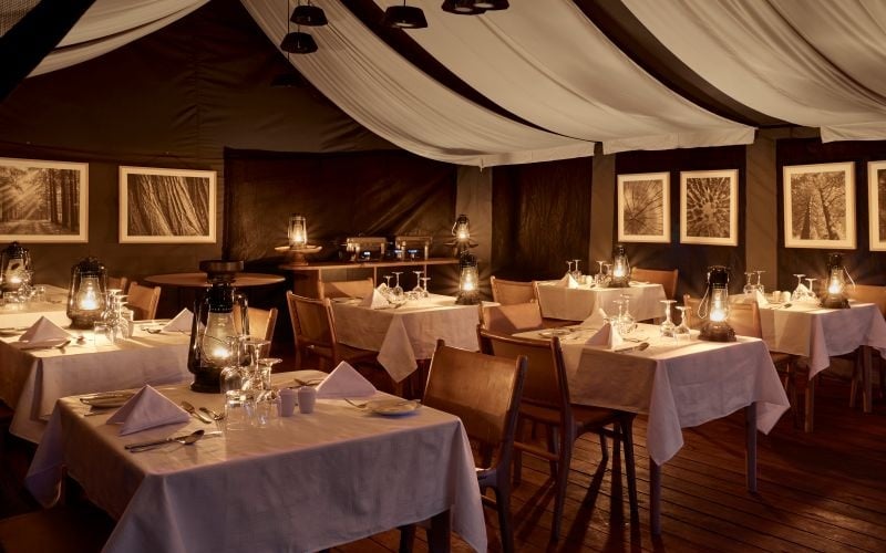 Ngorongoro Crater Camp 7
