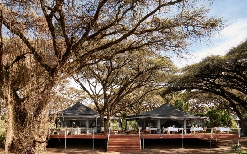 Ngorongoro Crater Camp 8