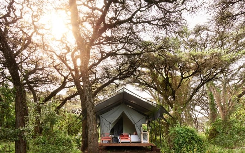 Ngorongoro Crater Camp, an A&K Sanctuary