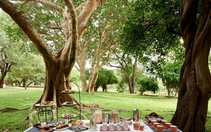 Chobe Chilwero Game Lodge