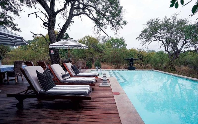 SafariMoon-pool