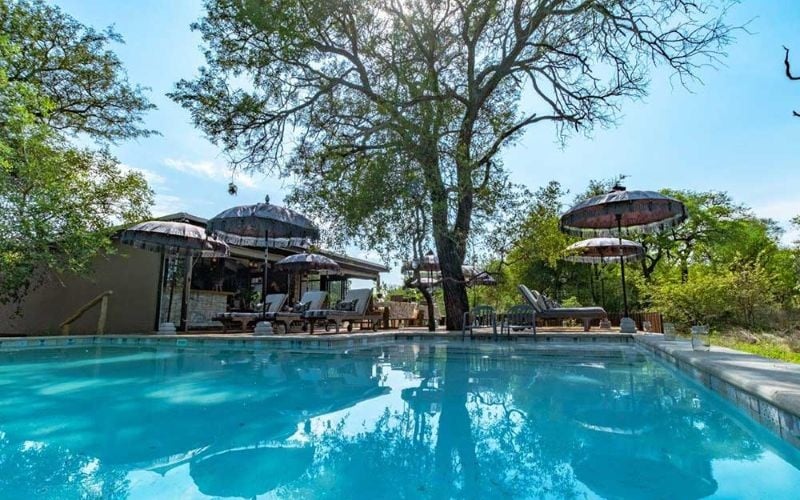 Safari Moon Luxury Bush Lodge